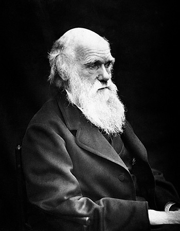 Charles Darwin, 1869. Photographer Julia Margaret Cameron.