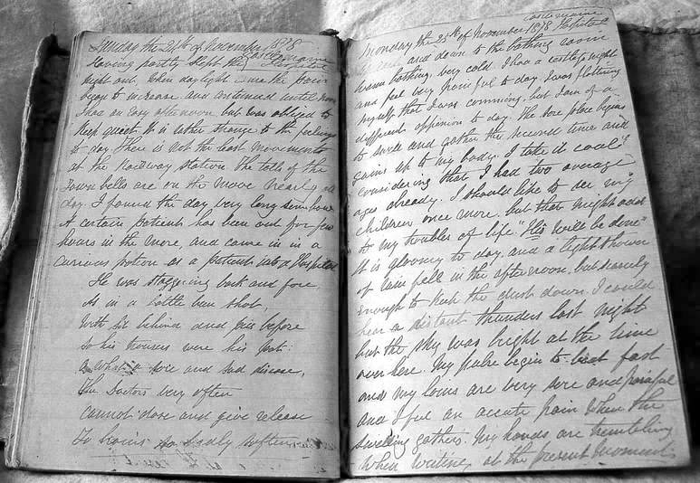 Pages from Joseph Jenkins' diary, 24th and 25th November, 1878