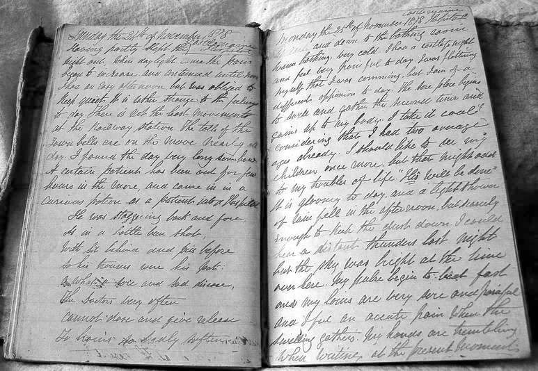 7833132-orig_1BW Pages from Joseph Jenkins' diary, 24th and 25th November, 1878