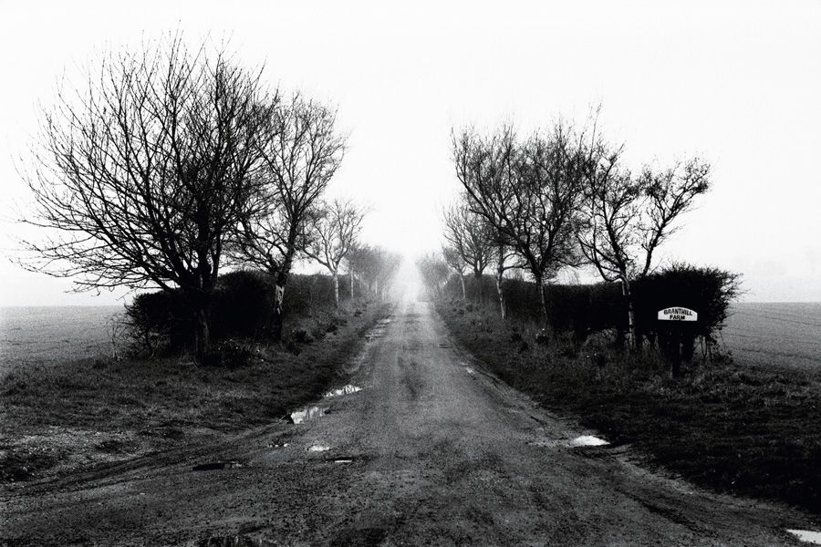 A gloomy winter scene of a foggy farm track with rows of bare trees on the sides