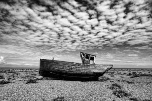 Dungeness