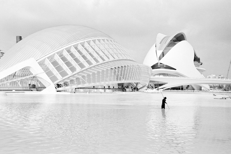 A man appears to be spear fishing in the artificial lake at the City of Art and Sciences in Valencia