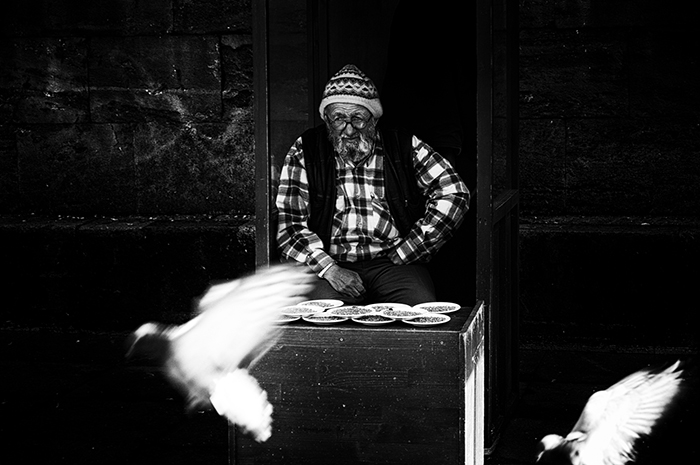 Elderly man in a small wooden booth watches motion blurred pigeons fly past