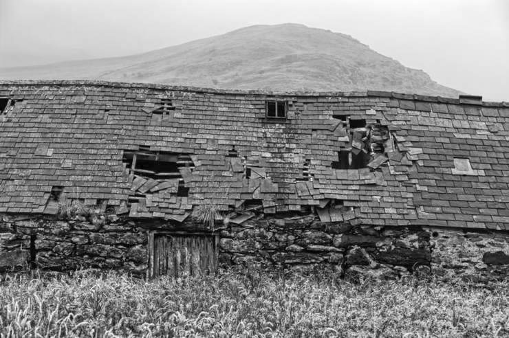 A decaying farm building in Cwmystradllyn with Moel Hebog in the background