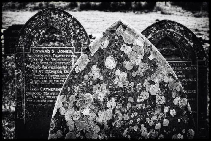 Weathered gravestones in an old Welsh graveyard